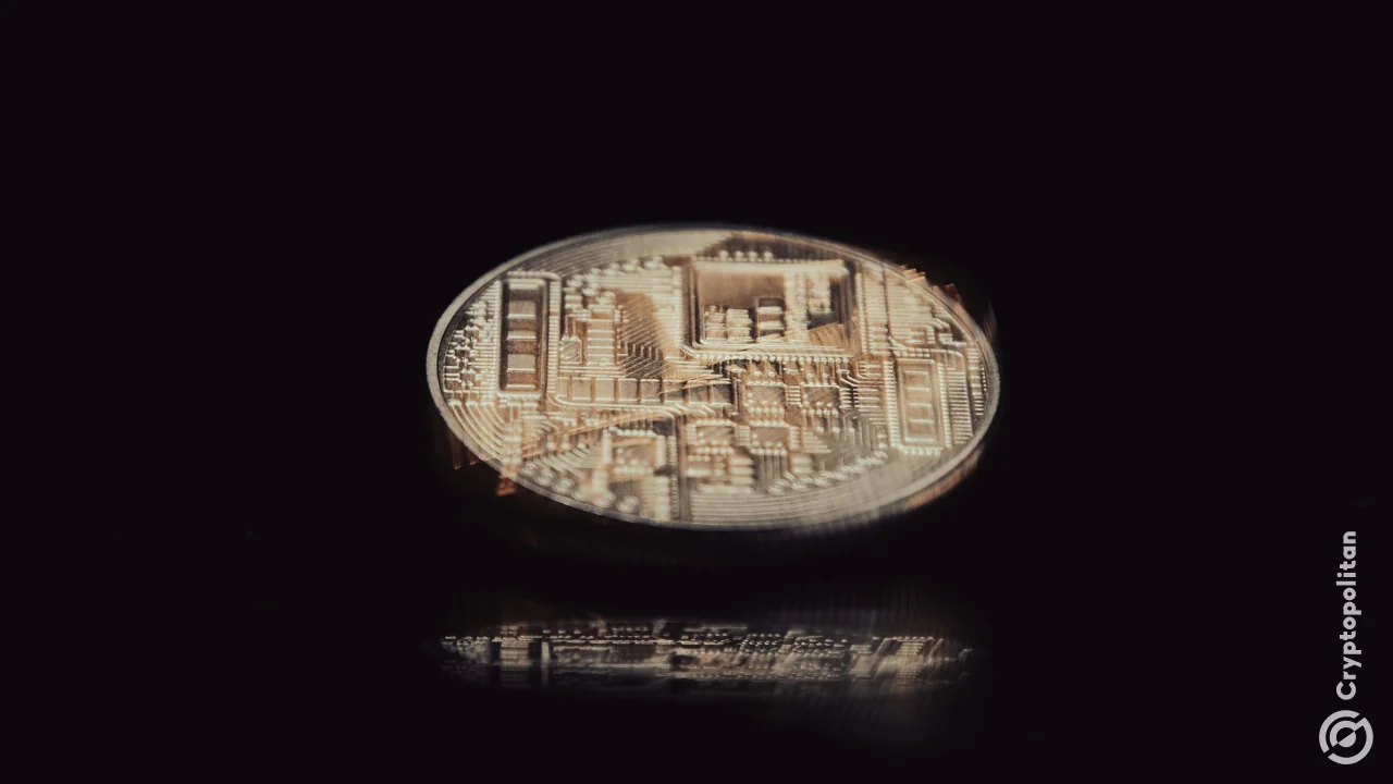 Forward Industries CEO calls Hyperliquid ‘everything wrong with crypto’