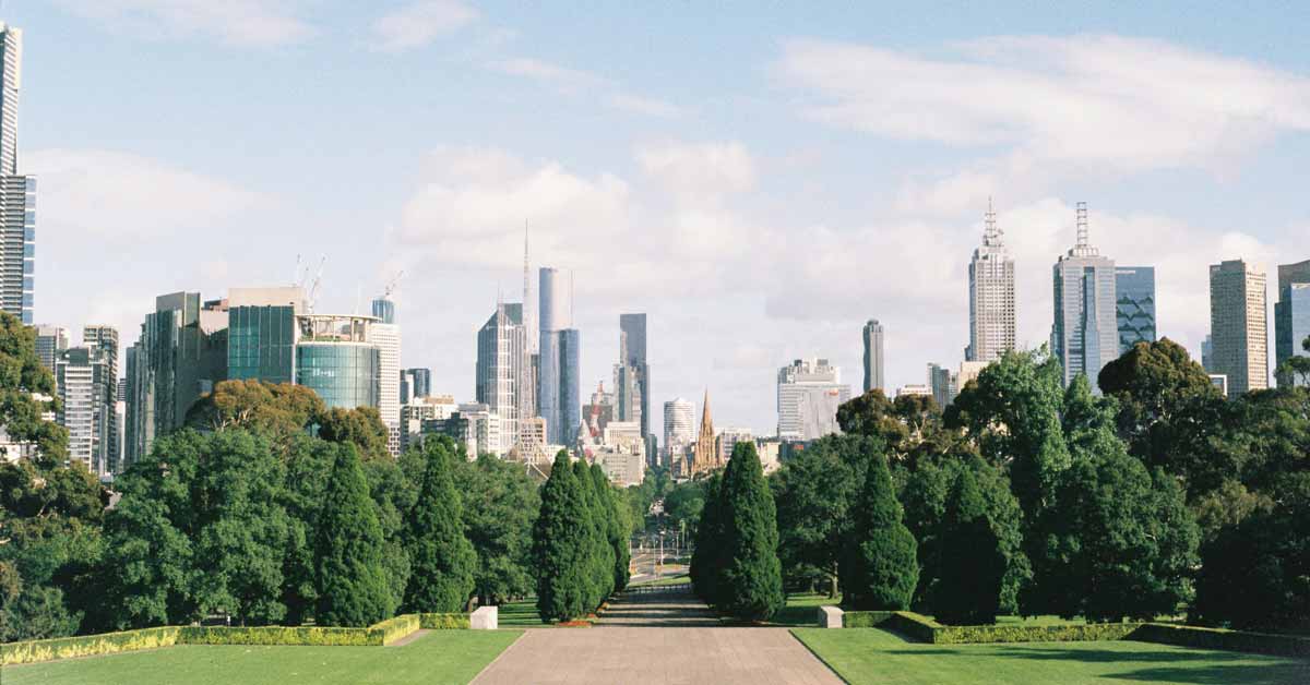 Here’s why Australians are sending emails to trees