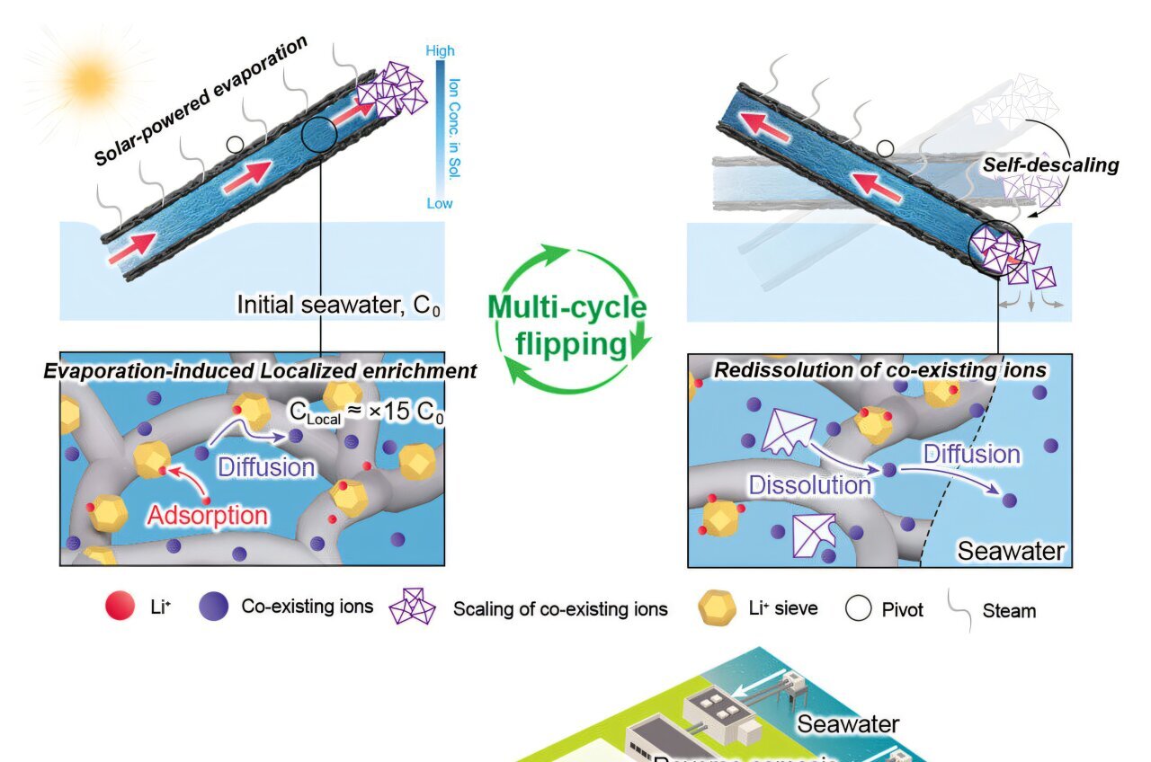 Solar-powered seesaw extractor simultaneously extracts lithium and desalinates water